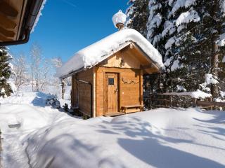 Chalet Steinbock, St Martin am Tennengebirge - 6