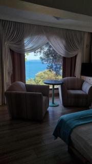 ayı balığı koyu - 0