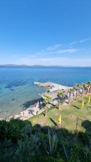 ayı balığı koyu - 6