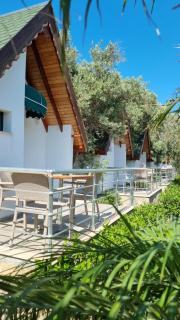 ayı balığı koyu - 3