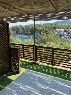 ayı balığı koyu - 1