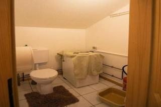 Holiday flat in Morschwiller - 5