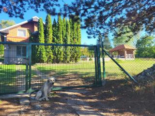 Vila Dolina Mira pored Jerme - 9