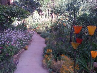 Harmony Ridge Lodge - Nevada City - 1