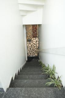 The Whispering Woods Near Golden Temple - 8