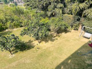 The Whispering Woods Near Golden Temple - 4