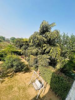 The Whispering Woods Near Golden Temple - 1