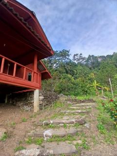 เดอะ เคบิน อินทนนท์ - The Cabin Inthanon - 3