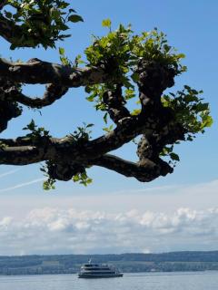 Hotel Restaurant Valentino Meersburg - 1