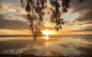 Appt Terrasse Tropicale - vue mer à St-Leu centre - 8