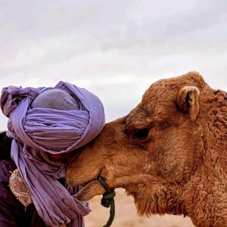 Royale Touareg Tents - 8