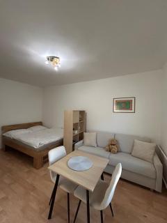 Bílý klid nově zrekonstruované studio - 8