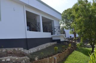 First rose - Magutu - 1