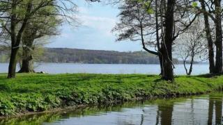 Winfried Schaffer - 4