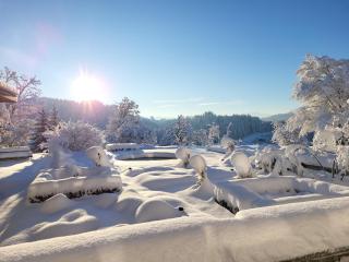 Gasthof Sunnebad - 7