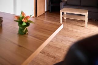 Tiny Homes Schruns - 1