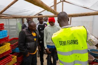 Unique Tree House Stay at Demi Farms - Kitengela - 8