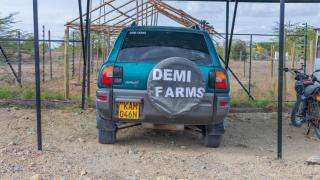 Unique Tree House Stay at Demi Farms - 6