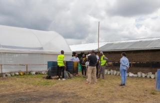 Unique Tree House Stay at Demi Farms - 5