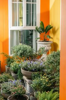 Casa Margarita Khao Yai - Nong Nam Daeng - 5