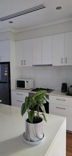 Live in Perth City - 7