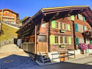 Renovated traditional chalet in car-free Mürren - 0