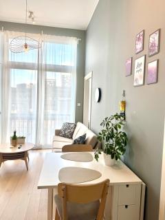 Central studio 10 mins to Oslo 12 mins to airport - 9