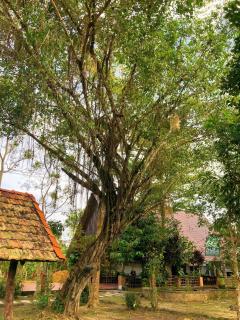 Nam Cat Tien Retreat - 3