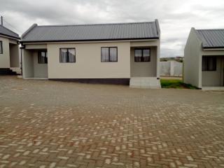 The Umbrella Shade - 0