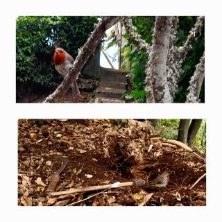 La casita del Lagar - 6