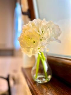 Bálint Apartman 1 - 2