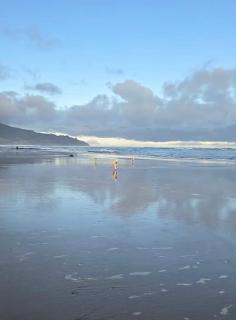 Pandora Cottage Beachfront - 3