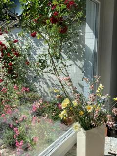 Heidelodge - Nebel - 6