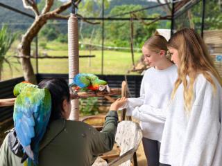 เขาใหญ่ฮาร์ทแลนด์ khaoyai heartland - 3