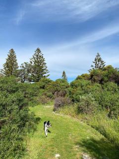 Norfolk Shack - Where time stands still - 5