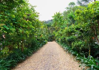Hilltop House-Vintage Retreat-Garden&Mountain View - 5