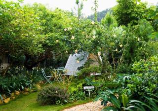 Hilltop House-Vintage Retreat-Garden&Mountain View - 3