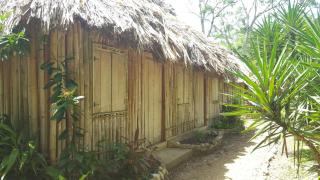 Clarissa Falls Resort - San Ignacio - 5