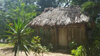 Clarissa Falls Resort - San Ignacio - 4