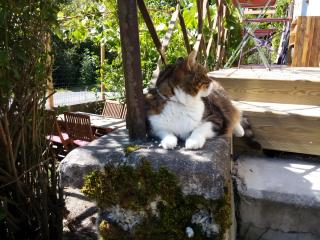 Ferme Des Montagnes Bleues - 3