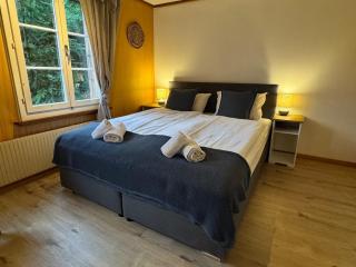 River-2 with Iconic Jungfraujoch View - 4