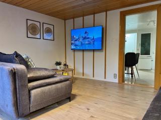 River-2 with Iconic Jungfraujoch View - 1