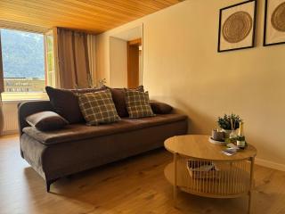 River-2 with Iconic Jungfraujoch View - 4