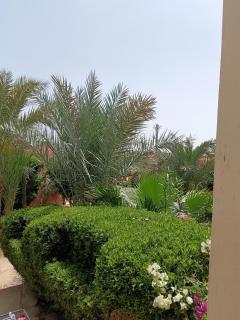 Lagoonfront heaven - 2BR - Italian Compound - El Gouna - 2