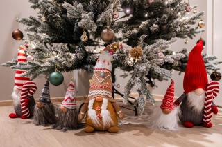 Arctic Haven City Villa - 7