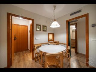 Bonaigua de Alma de Nieve - 4