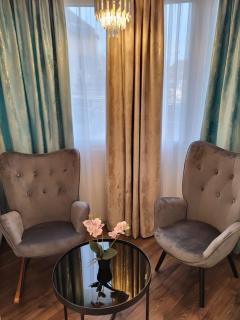 Golden City Apartament - Timişoara - 2