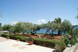 Apartmani Braco Caratan - Zavala - 8