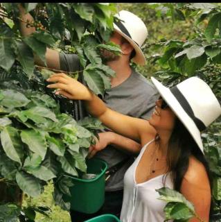 Ranch Style Home Jardin Del Eden - 8