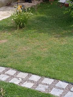 Areco hospedaje 2 - 3